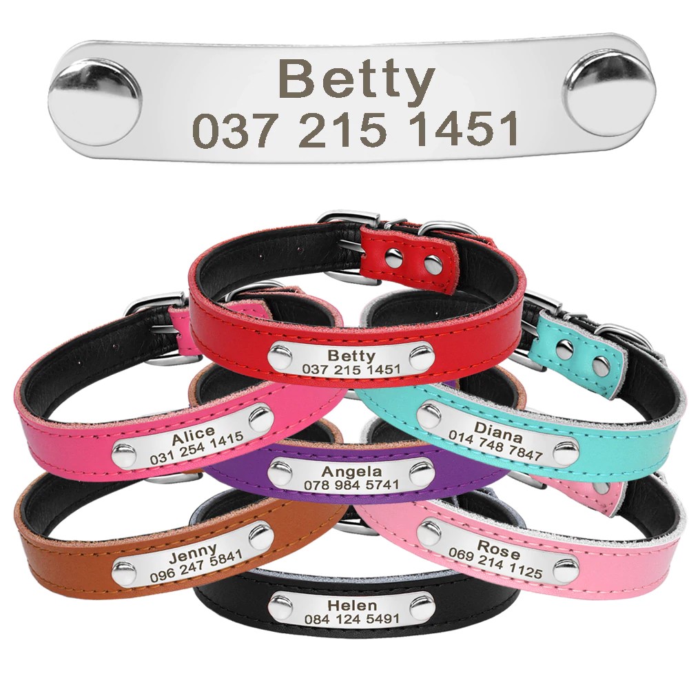 Personalized Leather Cat Collar-H99-1