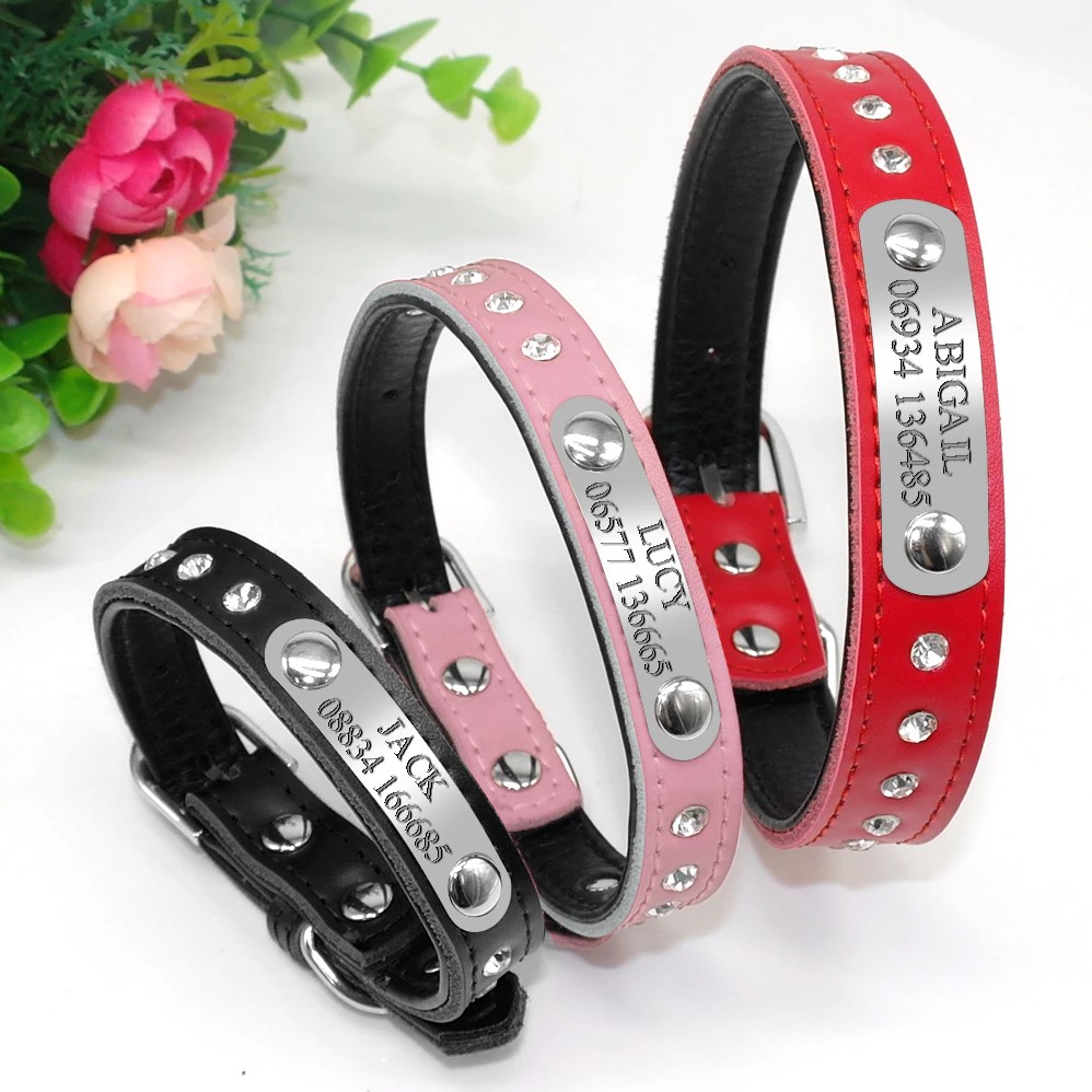 Personalized Leather Cat Collar-H99-2