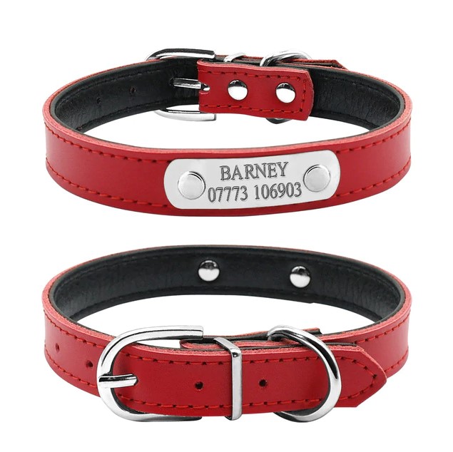 Red 1 Personalized Leather Cat Collar-H99