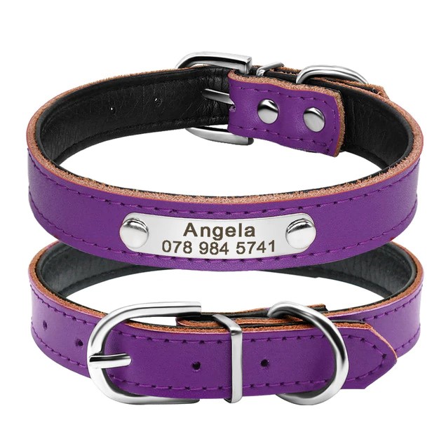 purple 1 Personalized Leather Cat Collar-H99